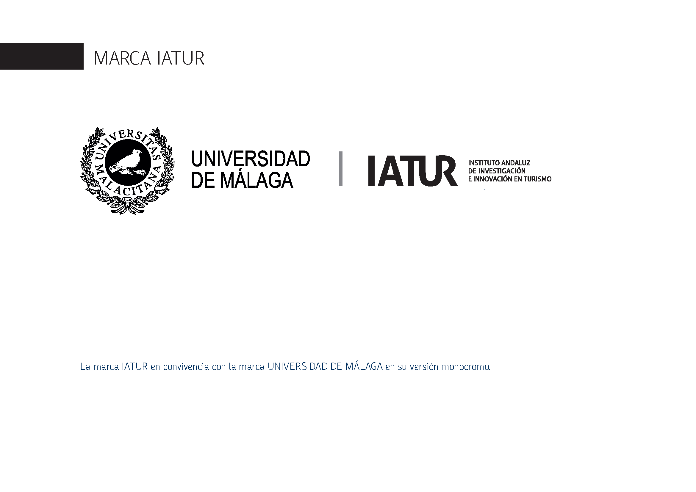 Manual-Identidad-IATUR_Página_6